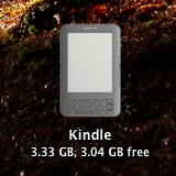 Kindle Icon