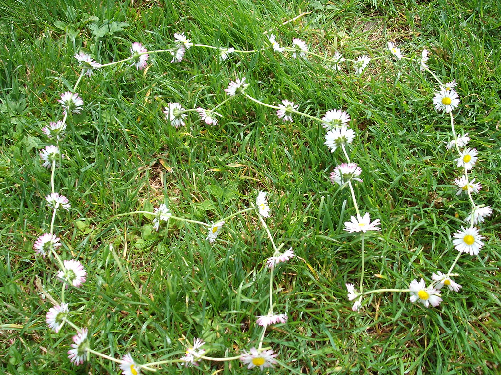 Daisy chain