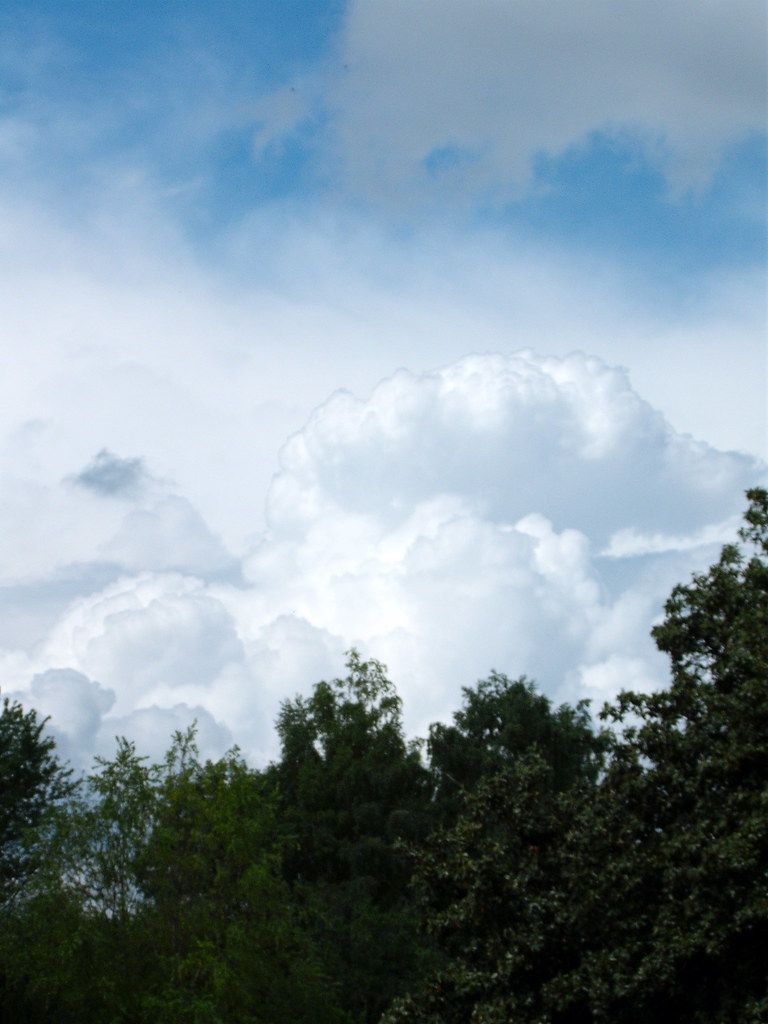 Storm clouds growing