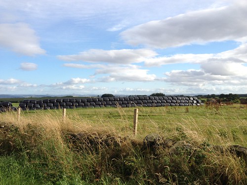 Bales, Wrapped