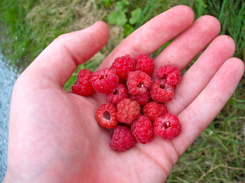 Raspberries